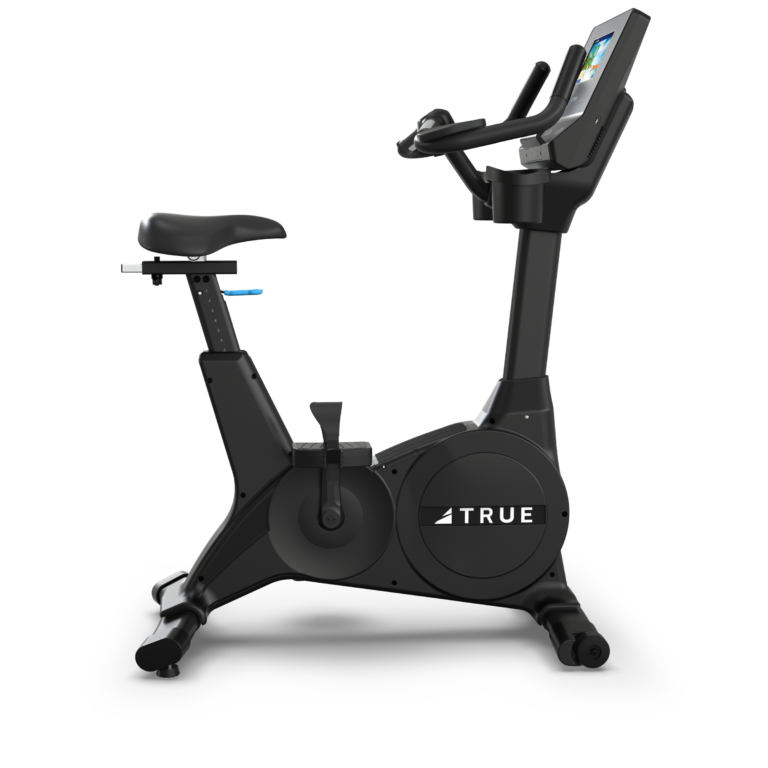 True Performance Series Upright Bike