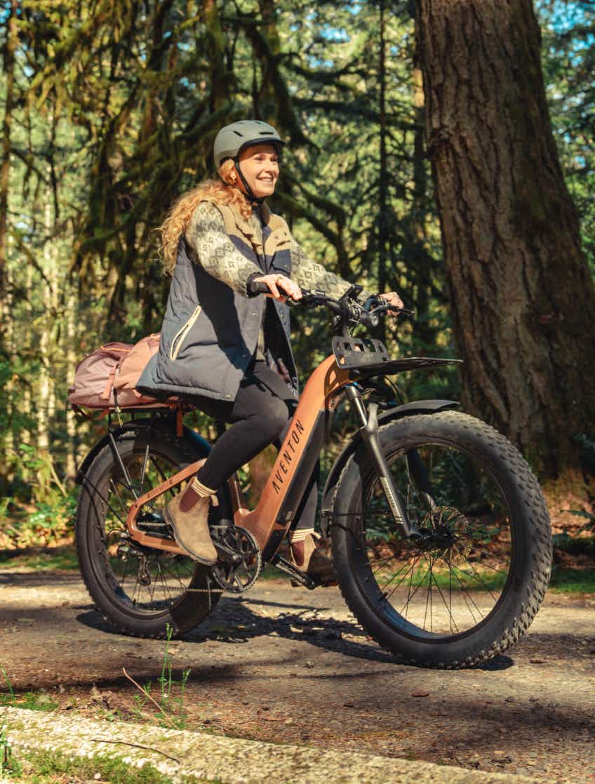 Aventon Aventure 3 Fat Tire Ebike