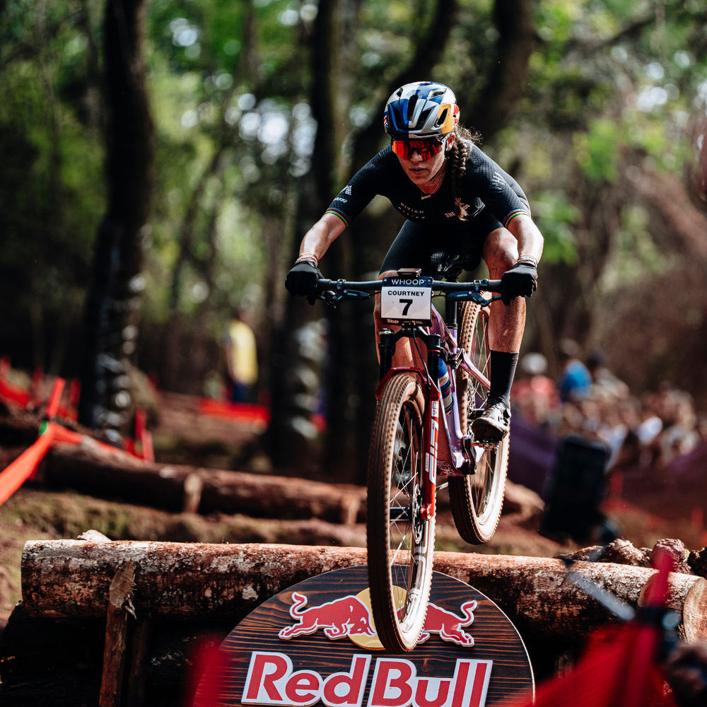 Allied Cycle Works BC40