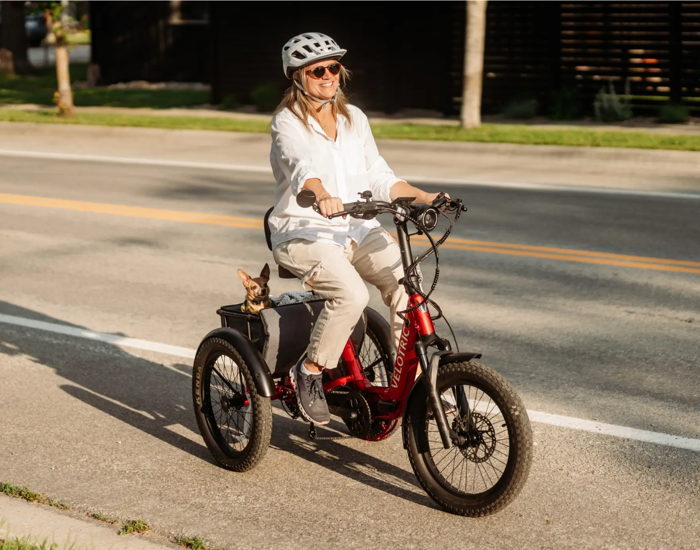 Velotric Triker Electric Tricycle