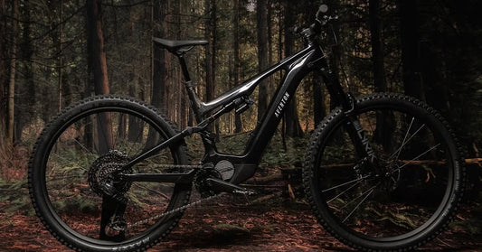 Before You Spend $9,000 Plus on an eMTB, Read This!