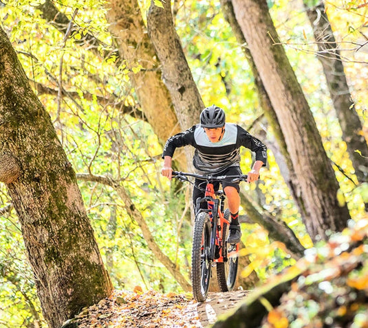 Rochester Bicycle + Fitness Bikes, E-Bikes & Fitness Equipment Dealer
