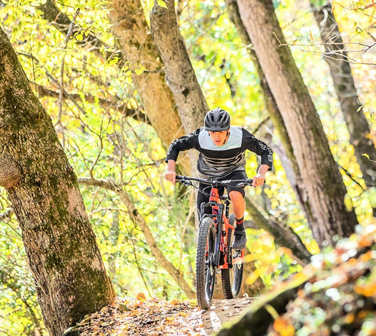 Rochester Bicycle + Fitness Bikes, E-Bikes & Fitness Equipment Dealer