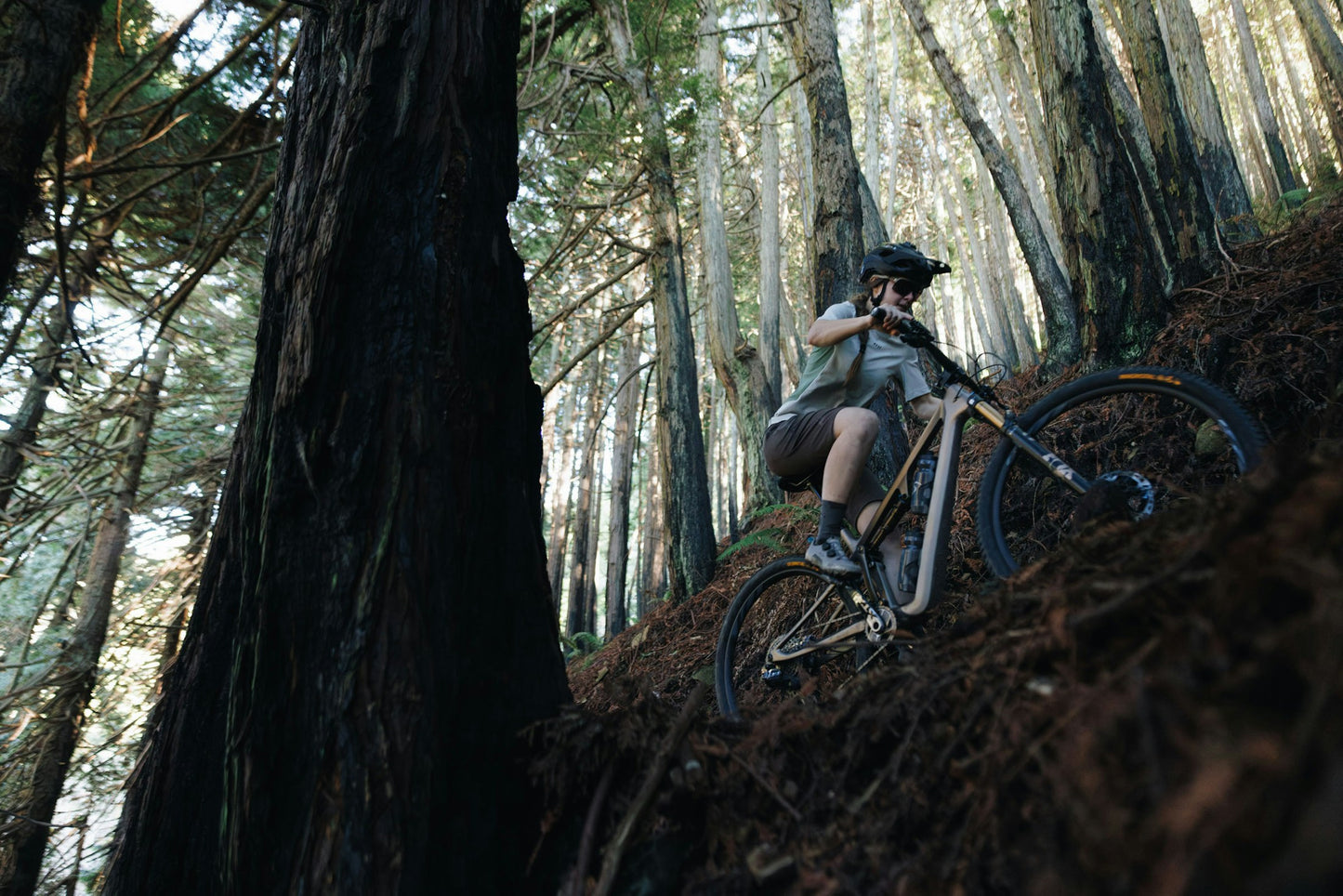 Ibis Cycles Ripley SL