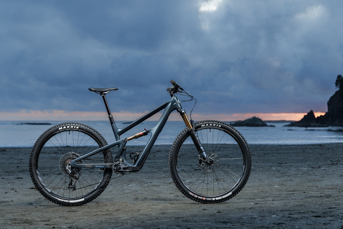 Ibis Ripley V5