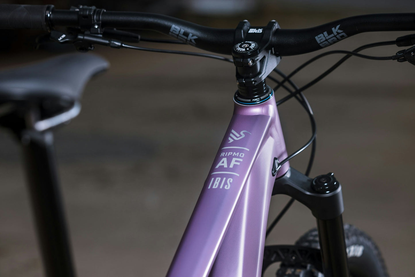 Ibis Ripmo AF