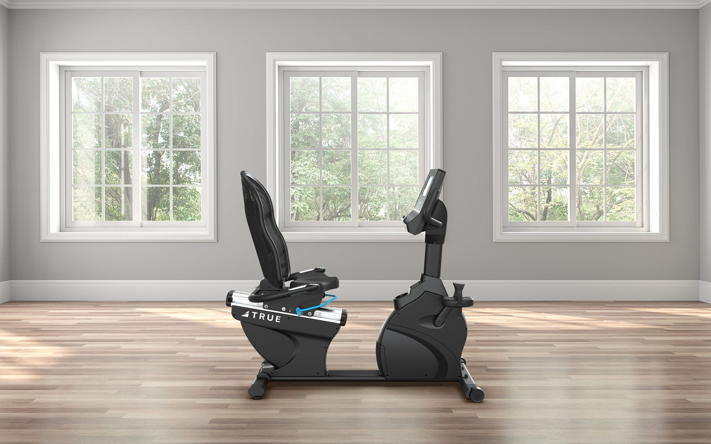 True Fitness Performance Series Recumbent Bike